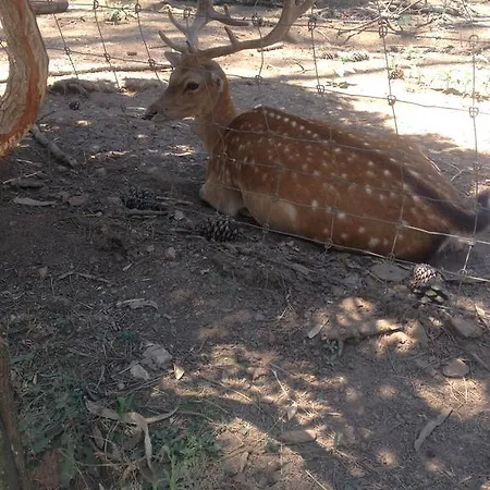 Casa Da Rua Do Sol * Almelaguez