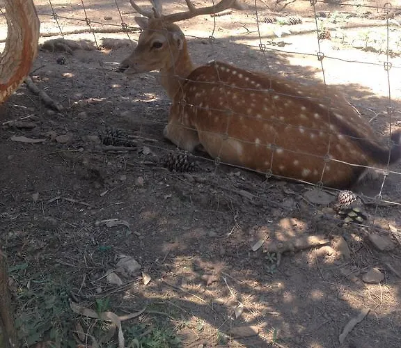 Casa Da Rua Do Sol * Almelaguez